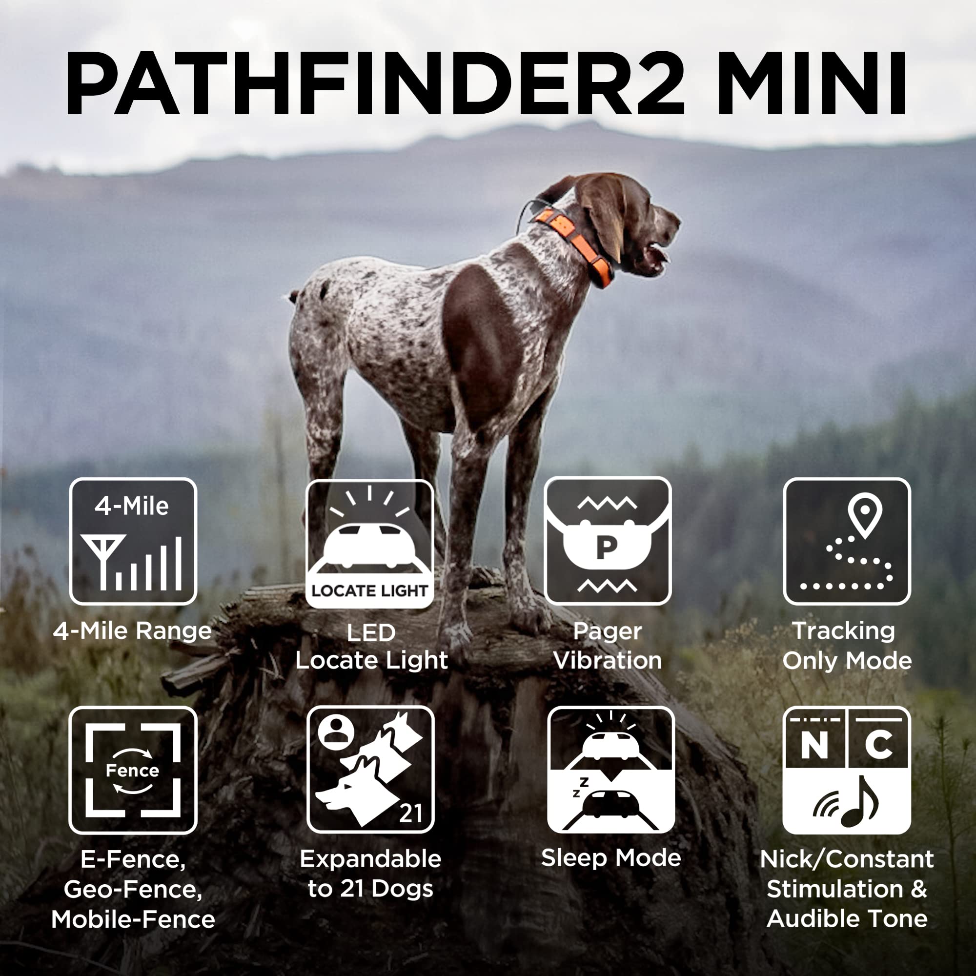 Dogtra Pathfinder 2 GPS Dog Tracker e Collar 9 Mile Long Range LED Light No Monthly fees Free App Waterproof Smartwatch Control Satellite Real Time Tracking Multiple Dogs Smartphone Required thumbnail 4