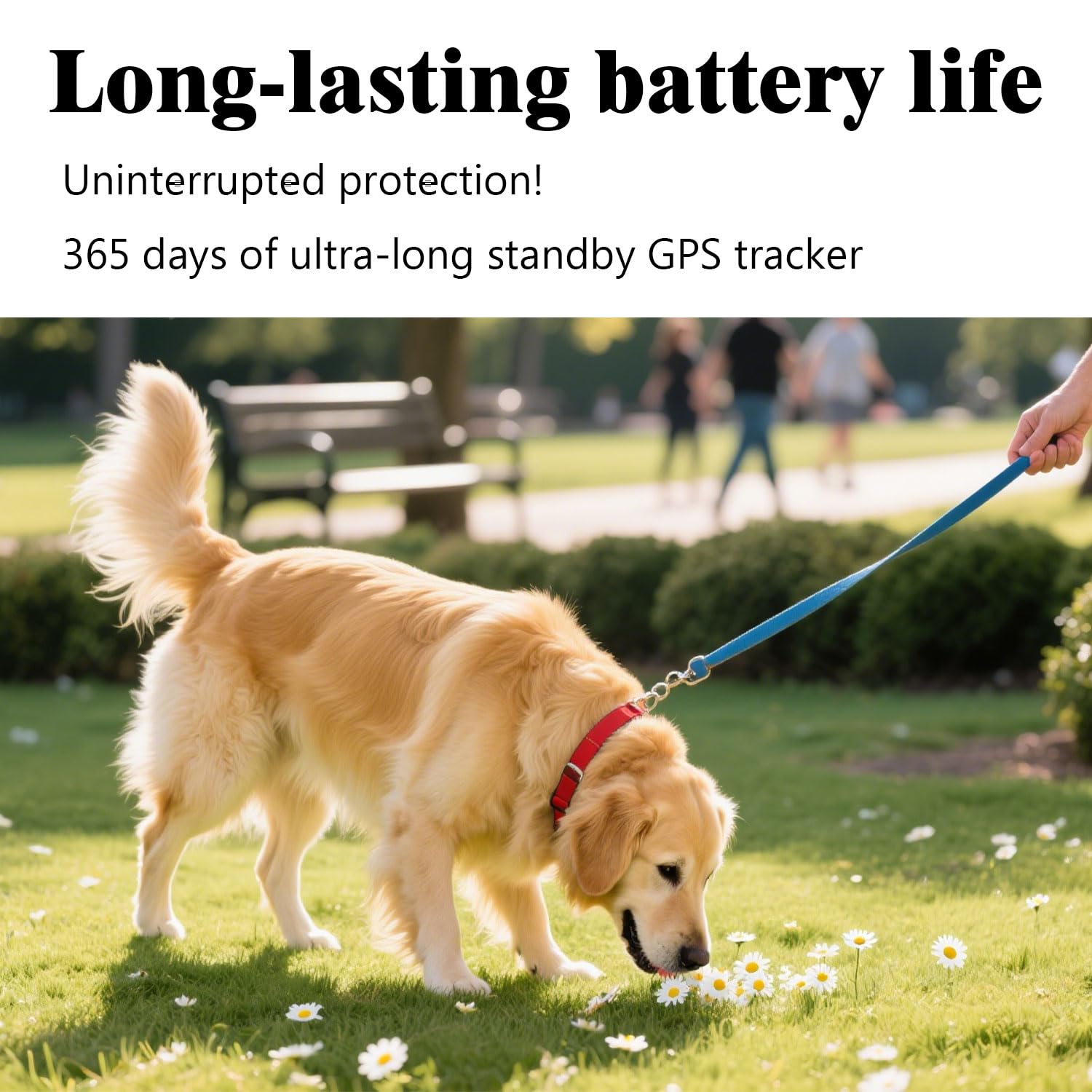 GPS Tracker for Dogs Cats Smart Pet GPS Tracker Mini Real-Time Pet Locator Waterproof Lightweight Locator with 1-Year Battery Track History| Android and iOS Universal | No Subscription thumbnail 4