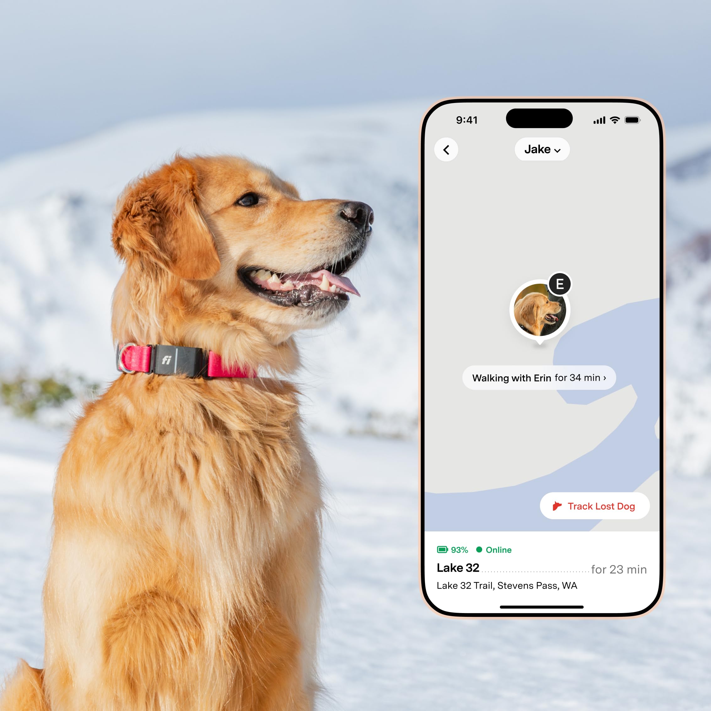 New Fi Series 3+ Smart Dog Tracker Collar – AI GPS for Dogs, Health &amp; Behavior Monitor, Virtual Fence, Escape Alerts, Waterproof, Apple Watch Compatible 12Mo Membership Included thumbnail 2