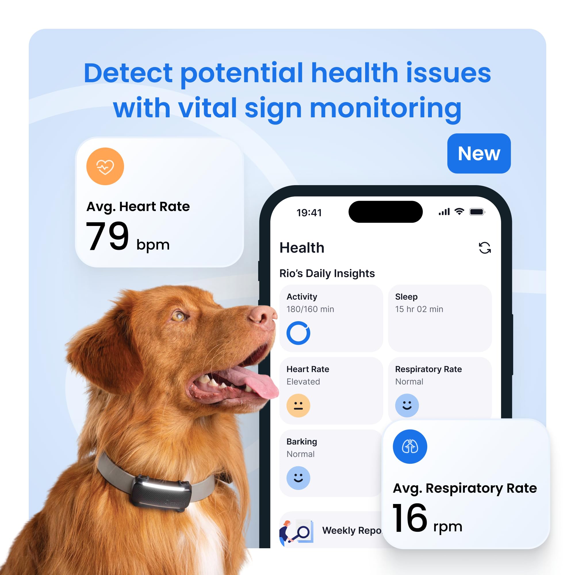 Tractive Smart Dog GPS Tracker | Live Pet Tracker with Virtual Fence | Vital Signs Monitoring of Heart &amp; Respiratory Rate | Bark Monitoring | Dog Collar Attachment (Black) thumbnail 4