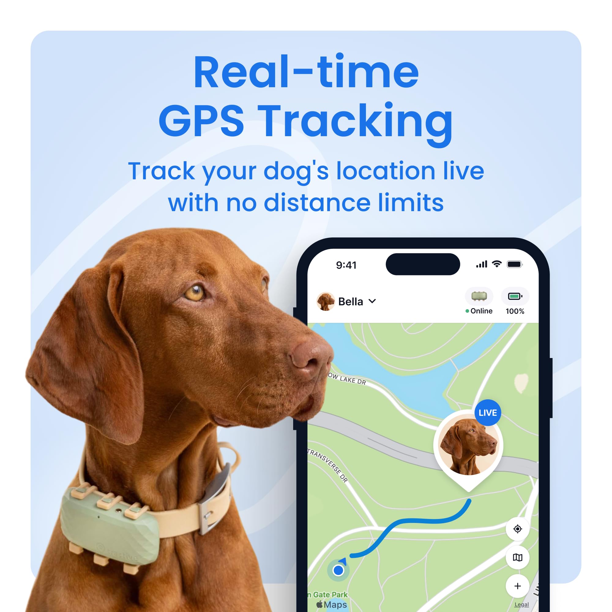 Tractive XL Smart Dog GPS Tracker | Live Pet Tracker with Virtual Fence | Vital Signs Monitoring of Heart &amp; Respiratory Rate | Up to 1-Month Battery Life | Dog Collar Attachment (Green) thumbnail 2