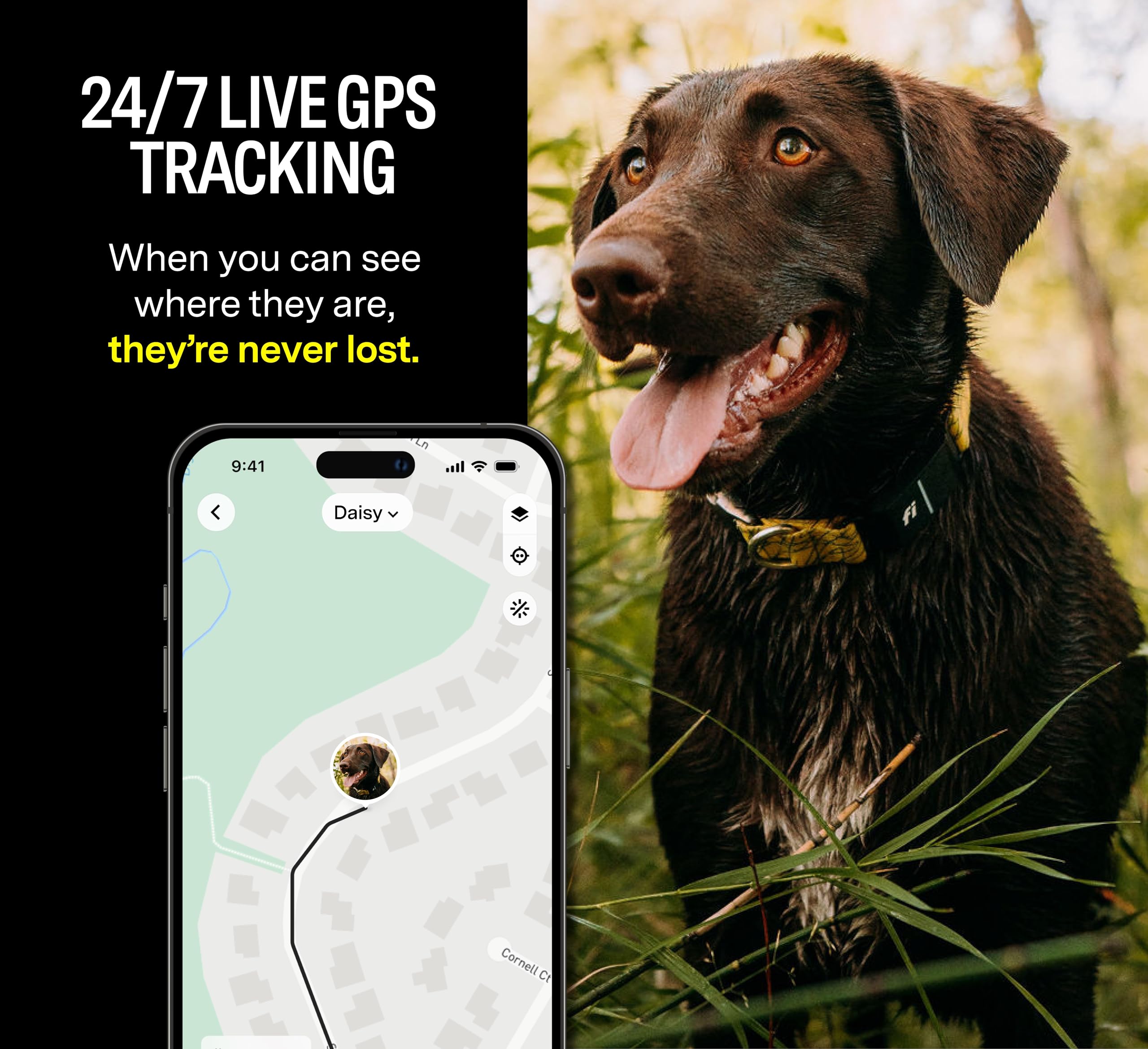 Fi Series 3+ Smart Dog Tracker Collar – 6 Month Membership Included thumbnail 2