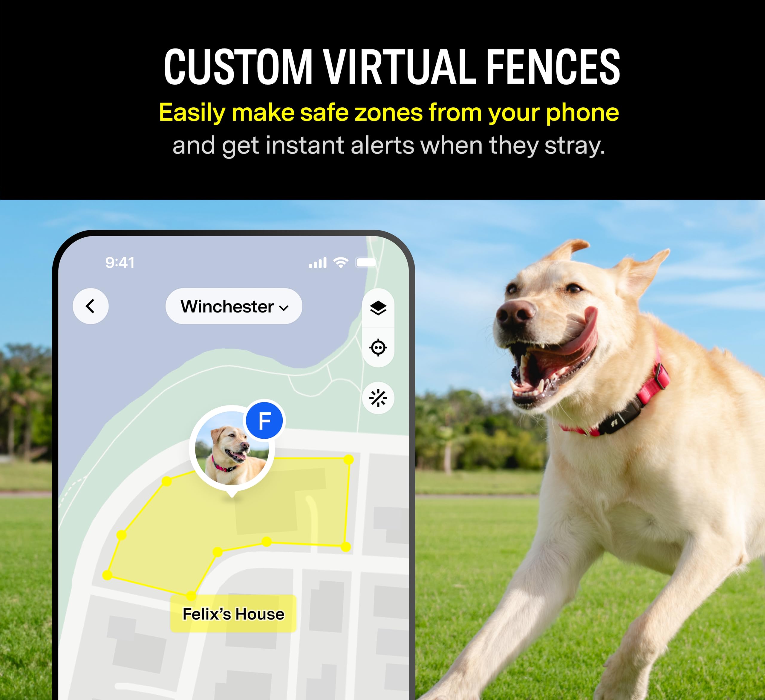 Fi Series 3+ Smart Dog Tracker Collar – 6 Month Membership Included thumbnail 3