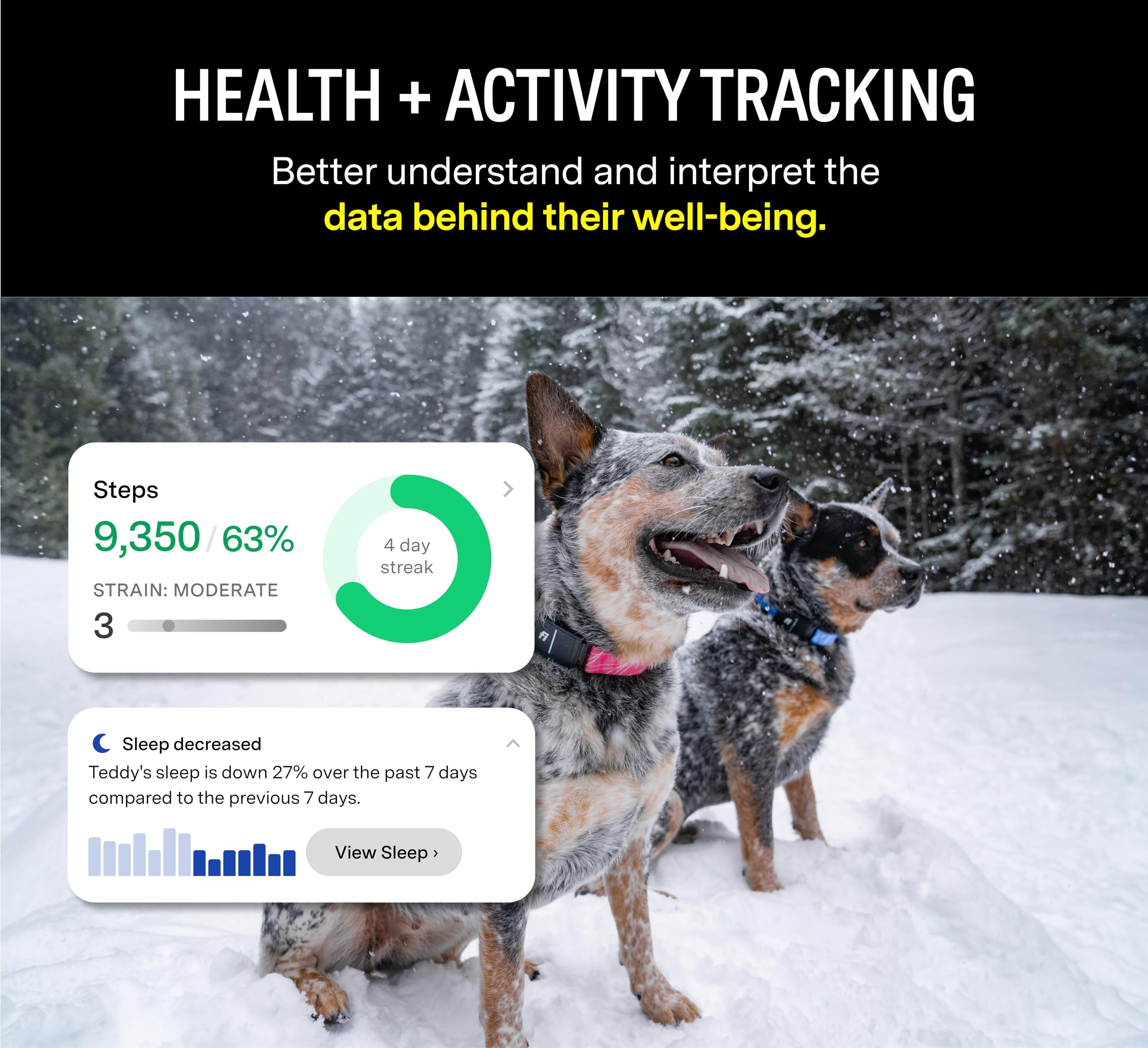 Fi Series 3+ Smart Dog Tracker Collar – 6 Month Membership Included thumbnail 4