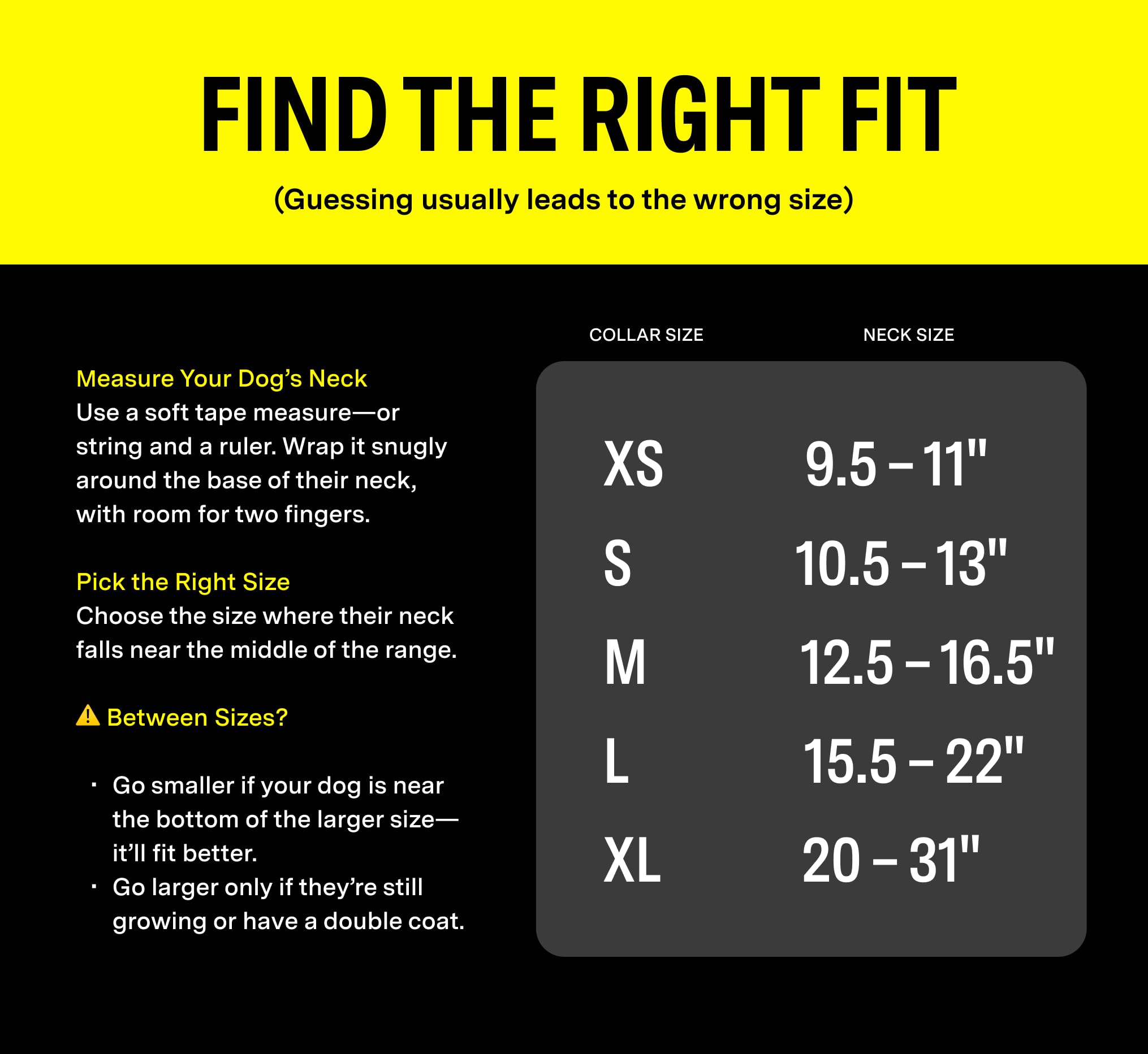 Fi Series 3+ Smart Dog Tracker Collar – 6 Month Membership Included thumbnail 5