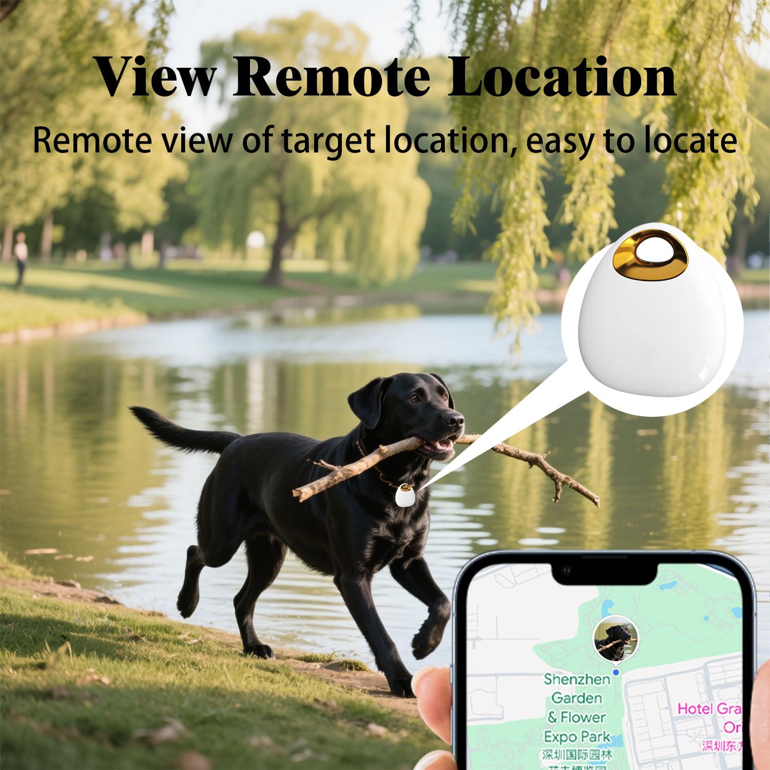 GPS Tracker for Dogs &amp; Cats – Waterproof, Lightweight, Mini Real-Time Pet Locator with 1-Year Battery, No Subscription or SIM Required, Track History, iOS &amp; Android Compatible thumbnail 4