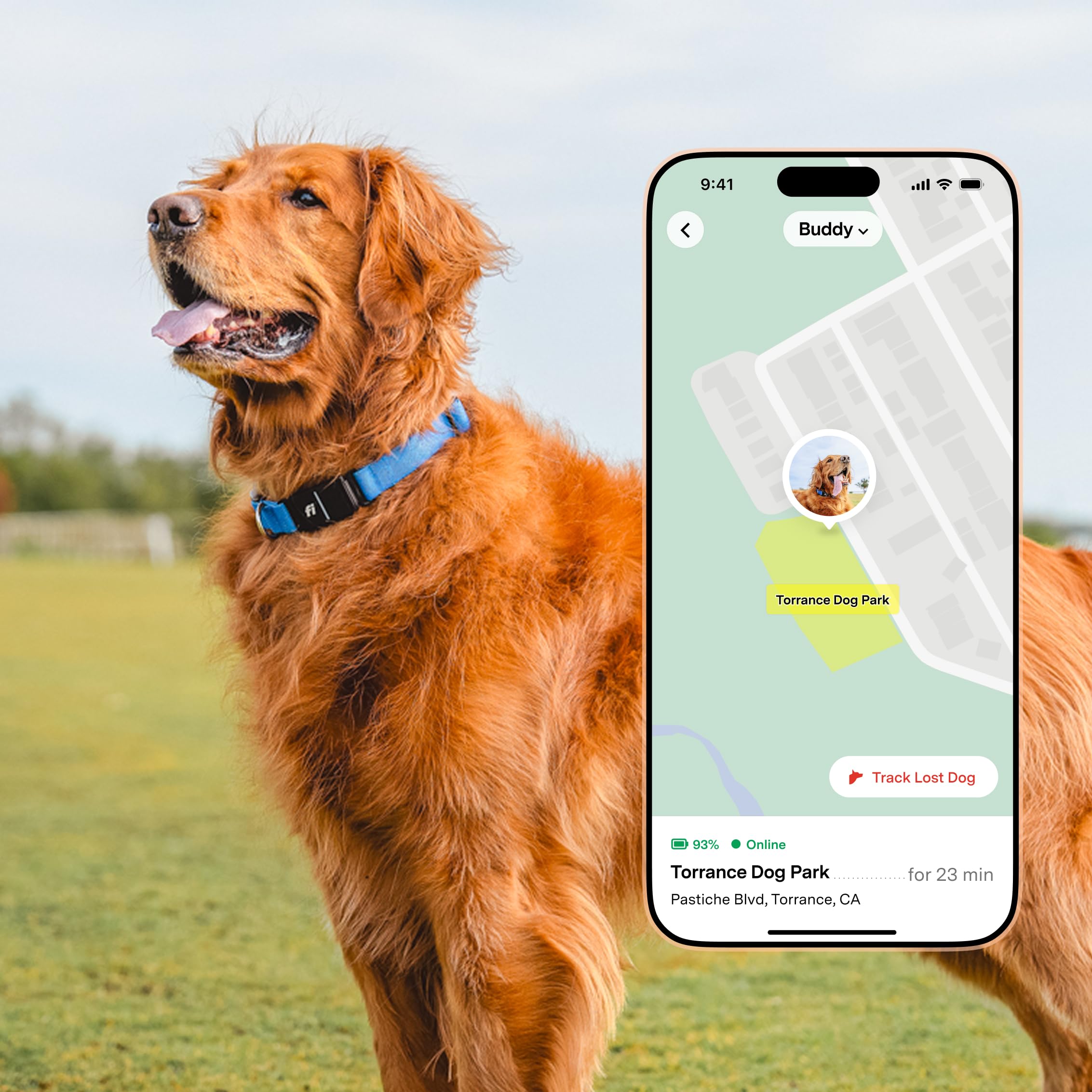 New Fi Series 3+ Smart Dog Tracker Collar – AI GPS for Dogs, Health &amp; Behavior Monitor, Virtual Fence, Escape Alerts, Waterproof, Apple Watch Compatible 12Mo Membership Included thumbnail 2