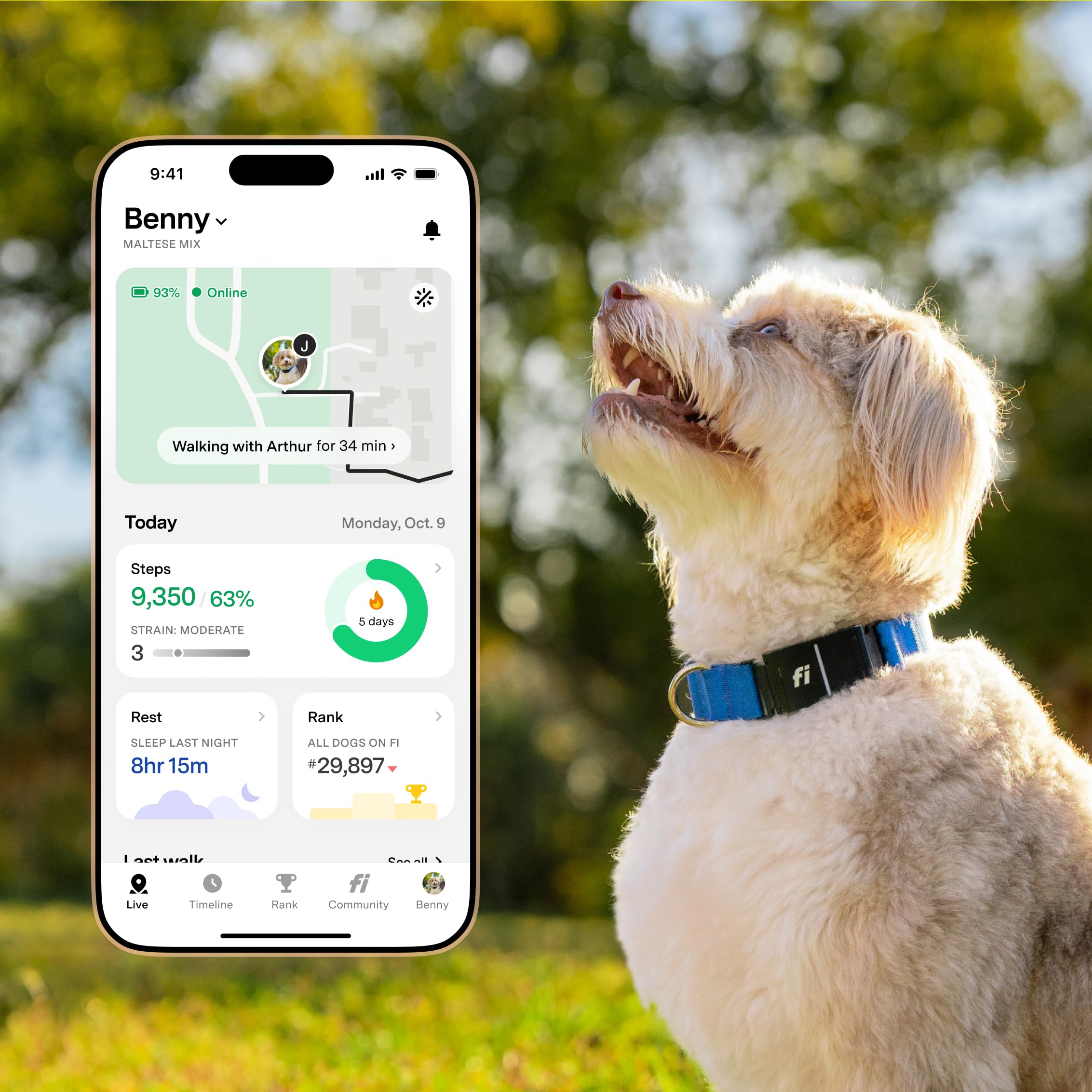 New Fi Series 3+ Smart Dog Tracker Collar – AI GPS for Dogs, Health &amp; Behavior Monitor, Virtual Fence, Escape Alerts, Waterproof, Apple Watch Compatible 12Mo Membership Included thumbnail 4
