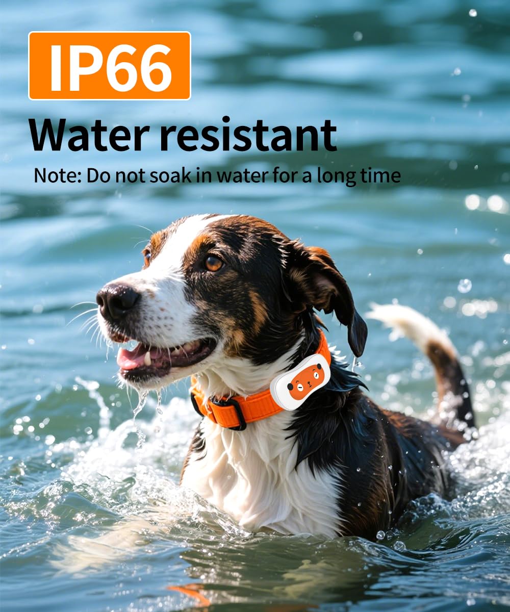 Smart Dog GPS Tracker,Live Pet Tracker with Virtual Fence Dog Collar with App,Smart Alerts,Collar-Compatible,4G Built-in SIM,iOS &amp; Android thumbnail 4