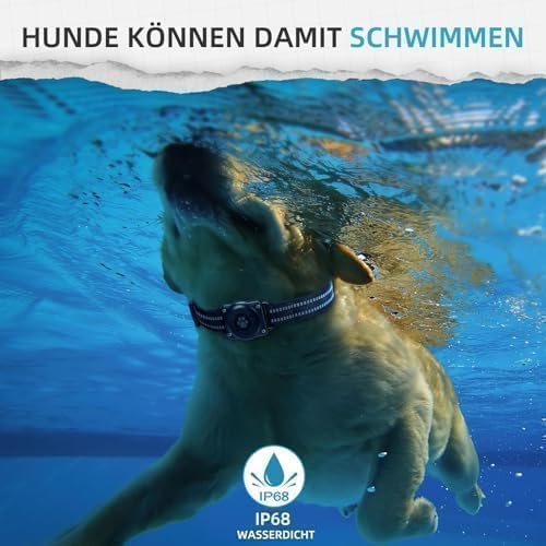 Vebiso GPS Tracker for Dogs (2 Pack), Mini GPS Cat Tracker, Smart Pet Activity Tracker (iOS Only), No Monthly Fee, Compatible with Apple Find My, Anti-Lost, Finder Tag for Vehicles/Pets/Kids/Items thumbnail 4