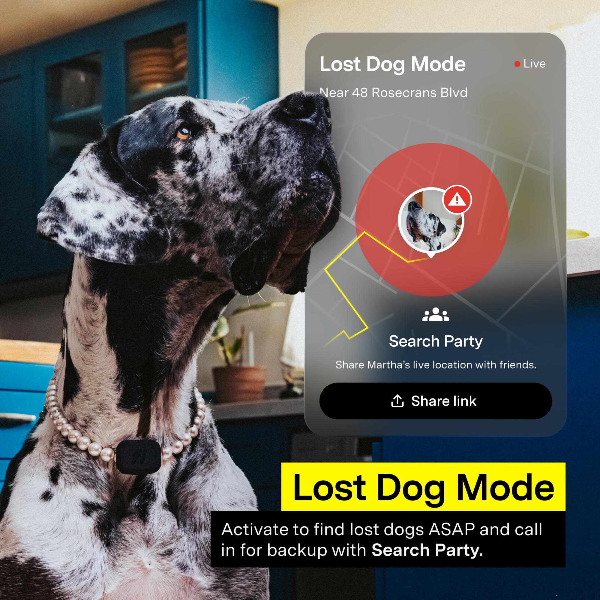 New Fi Mini GPS Tracker for Dogs, Cats, Small Pets – Universal Collar, Lightweight, Virtual Fences, Escape Alerts, Step &amp; Health Tracking, Waterproof – 6-Month Membership Included thumbnail 4