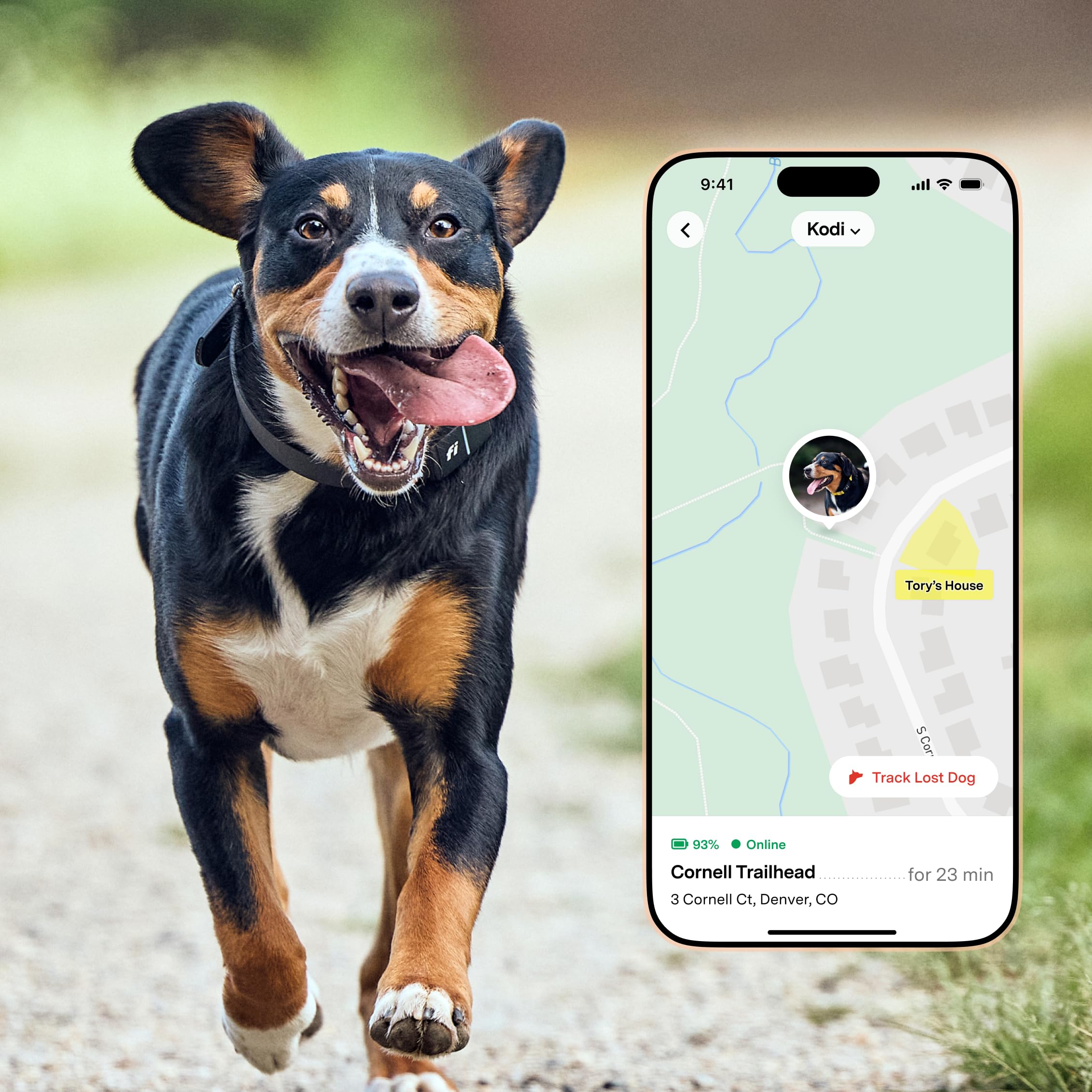 New Fi Series 3+ Smart Dog Collar - GPS Dog Tracker and Activity &amp; New Fitness Monitor, Waterproof, LED Light, Escape Alerts, Nationwide Coverage [Free 6 Month Membership] (Gray, Medium) thumbnail 2