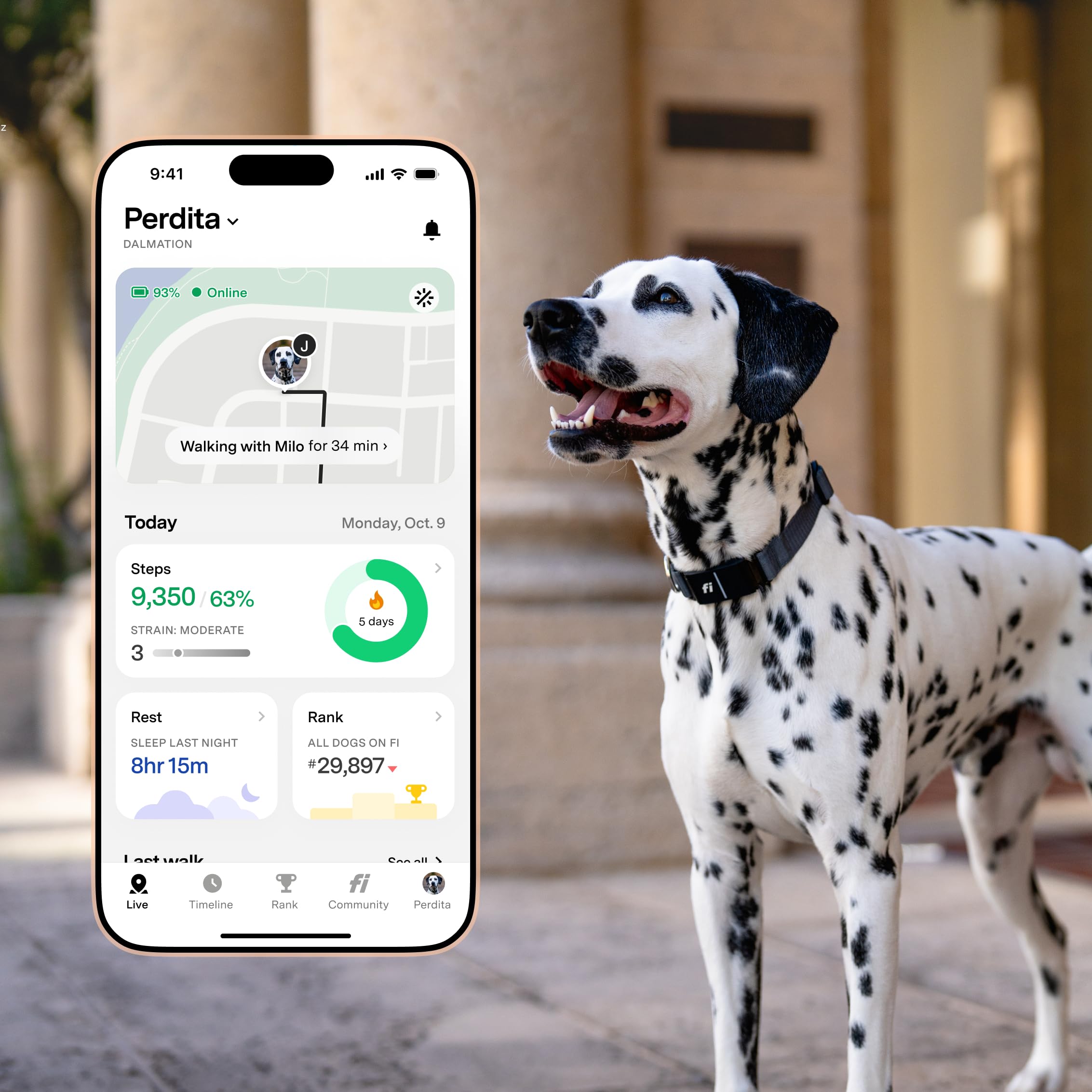 New Fi Series 3+ Smart Dog Collar - GPS Dog Tracker and Activity &amp; New Fitness Monitor, Waterproof, LED Light, Escape Alerts, Nationwide Coverage [Free 6 Month Membership] (Gray, Medium) thumbnail 4