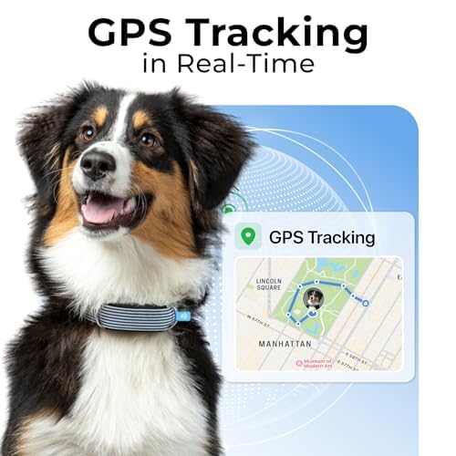 Invoxia Minitailz - Health &amp; GPS Tracker for Dogs #1 - Cardiac and Respiratory Scan - Real-time Location - Activity and Well-Being Analysis - Compact, Lightweight, and Easy to Install thumbnail 3