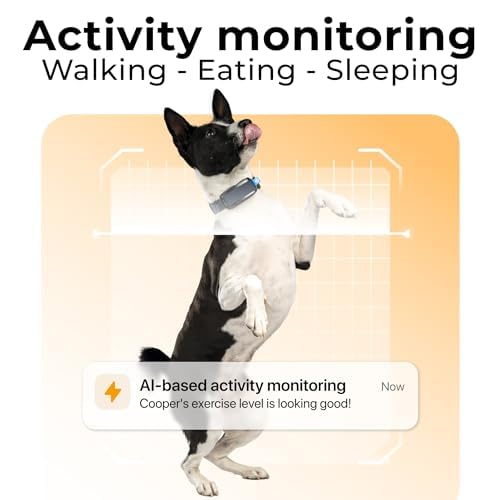 Invoxia Minitailz - Health &amp; GPS Tracker for Dogs #1 - Cardiac and Respiratory Scan - Real-time Location - Activity and Well-Being Analysis - Compact, Lightweight, and Easy to Install thumbnail 5