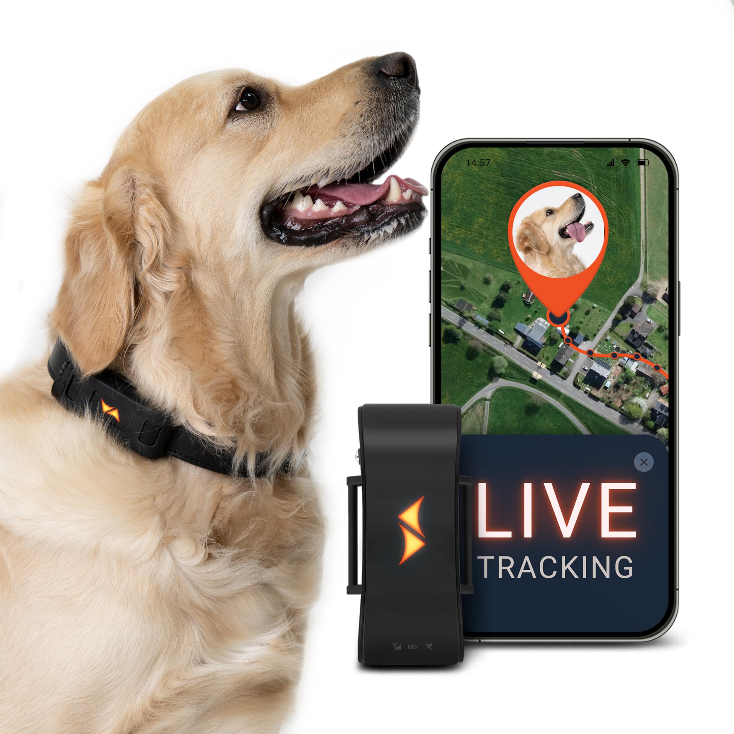 PAJ GPS Dog Tracker - 4G Real-Time Tracking &amp; Runaway Alerts - Waterproof, Long-Range, Smart App Monitor Health &amp; Activity - Fits Any Collar, Mini Device Navigator Chip - Subscription Required - Black thumbnail 2