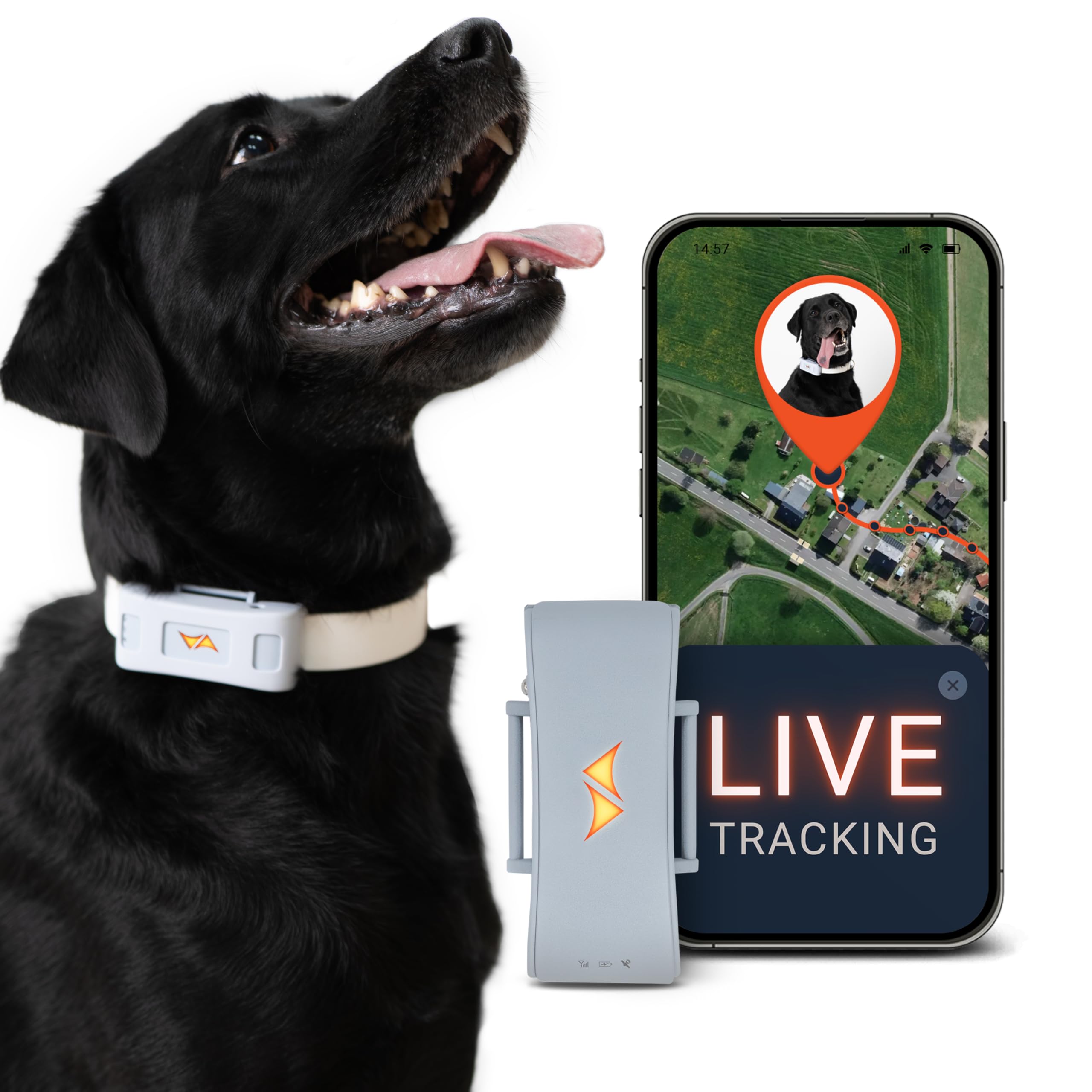PAJ GPS Dog Tracker - 4G Real-Time Tracking &amp; Runaway Alerts - Waterproof, Long-Range, Smart App Monitor Health &amp; Activity - Fits Any Collar, Mini Device Navigator Chip - Subscription Required - Black thumbnail 3