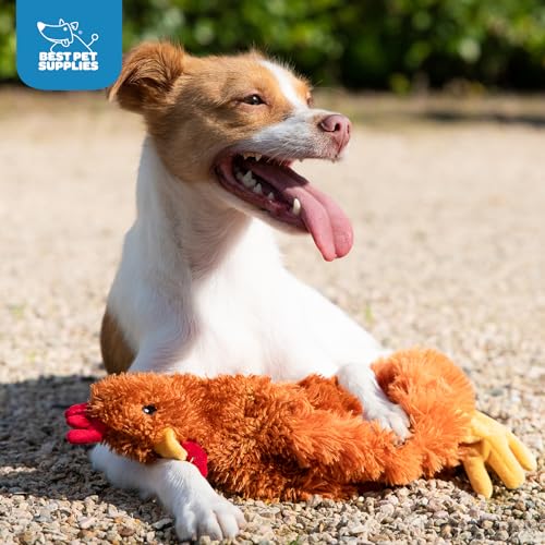Best Pet Supplies Interactive Squeaky Dog Chew Toy - Crinkle Chicken (Large) thumbnail 2